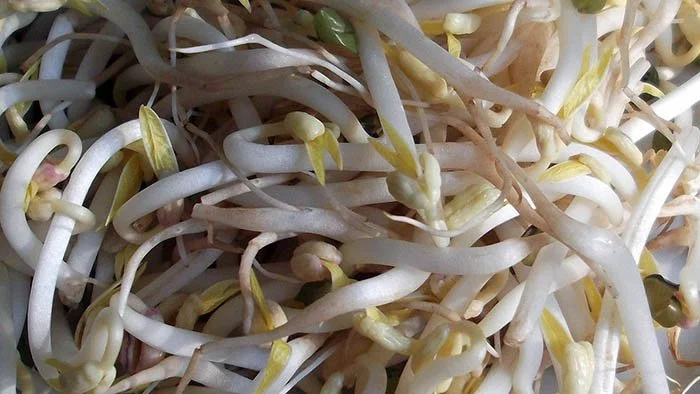 What Are Asian Greens & Chinese Greens?